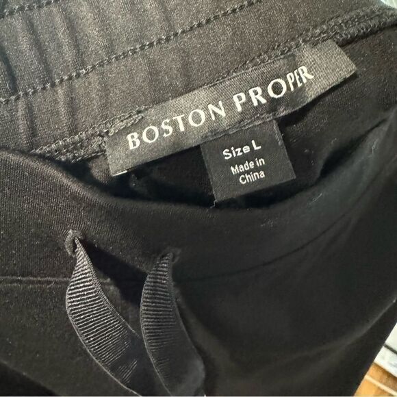 Boston Proper Drawstring Side Stripe Lounge Travel Track Wide Leg Pants - Picture 5 of 8